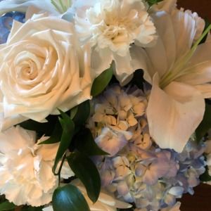 Meet your Posher, Marie